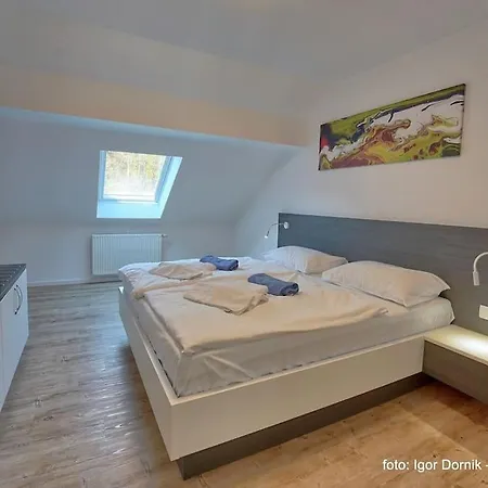 Apartman Terme Olimia - 407 *