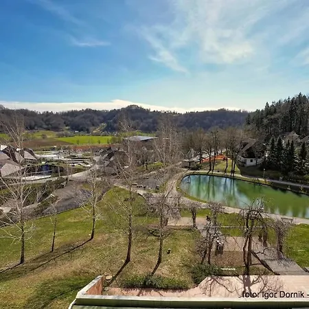 Terme Olimia - 407 *